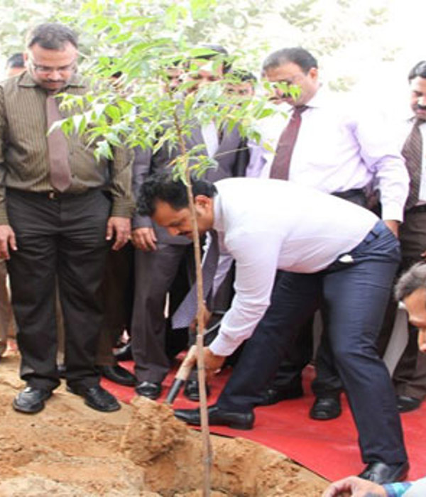 Earth Day Tree Planting 2013